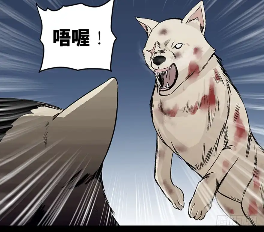 《心跳300秒》第九十七话·孤 狼 第7页
