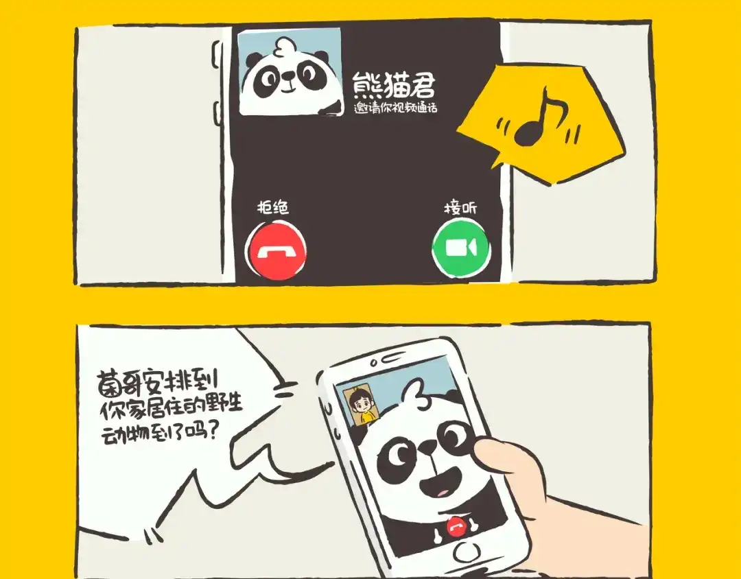 熊猫君&黄逗菌可持续生活志第二季 第1话 特别的室友 第2页