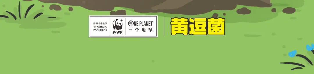 熊猫君&黄逗菌可持续生活志第二季 小壕房多多 第25页