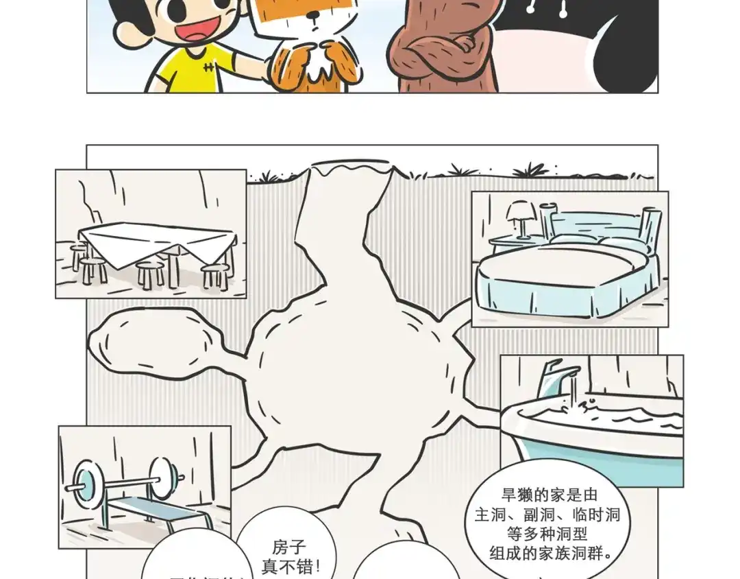熊猫君&黄逗菌可持续生活志第二季 小壕房多多 第13页