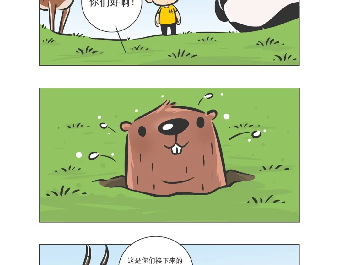 熊猫君&黄逗菌可持续生活志第二季 小壕房多多 第3页