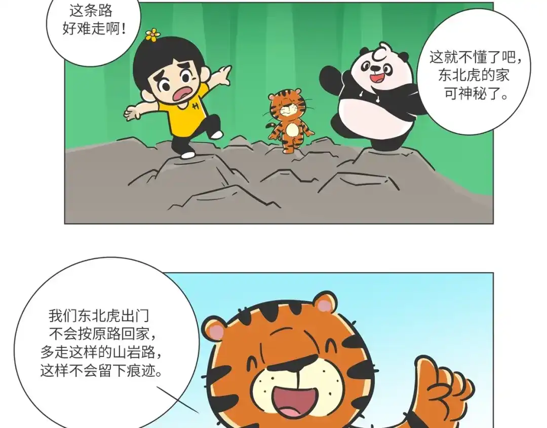 熊猫君&黄逗菌可持续生活志第二季 森林之王“虎威威” 第19页