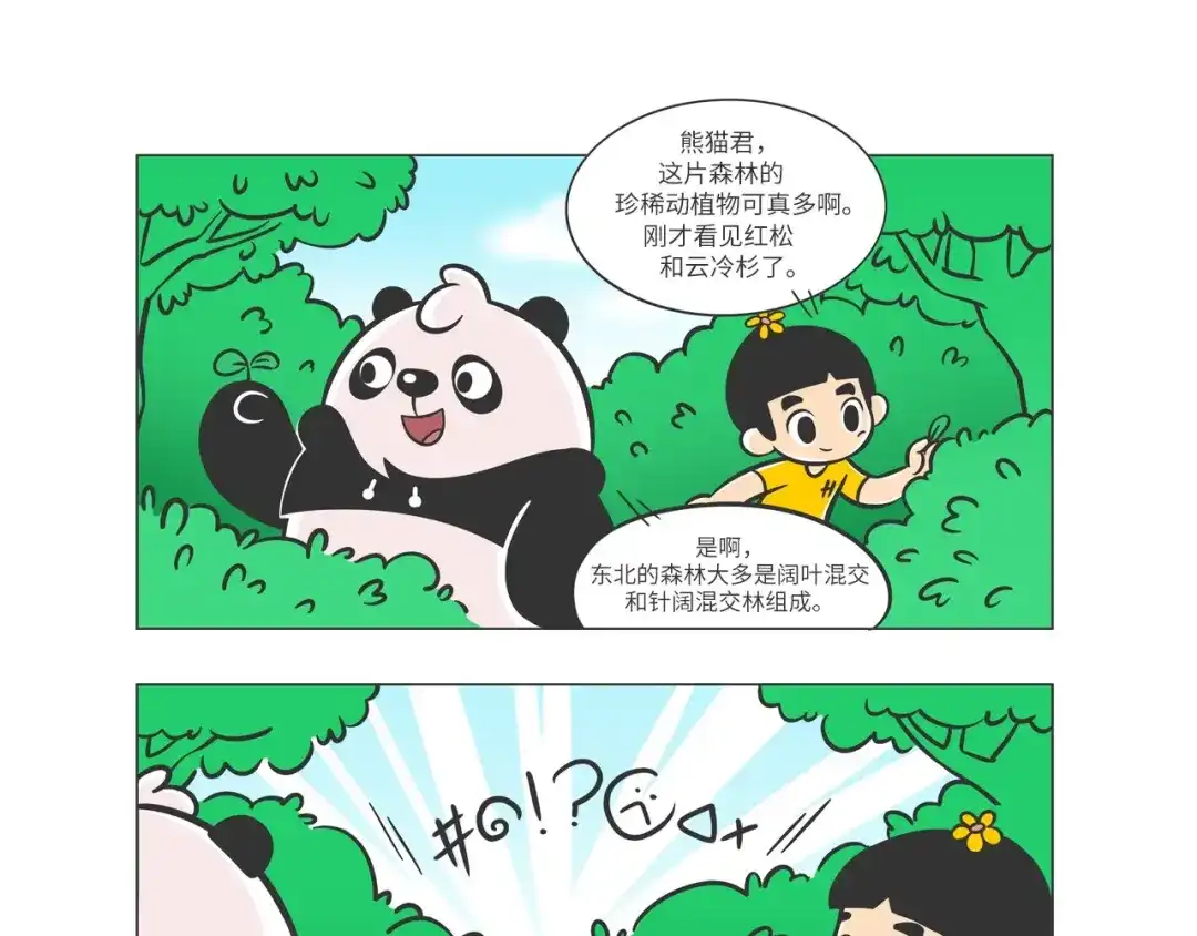 熊猫君&黄逗菌可持续生活志第二季 森林之王“虎威威” 第2页
