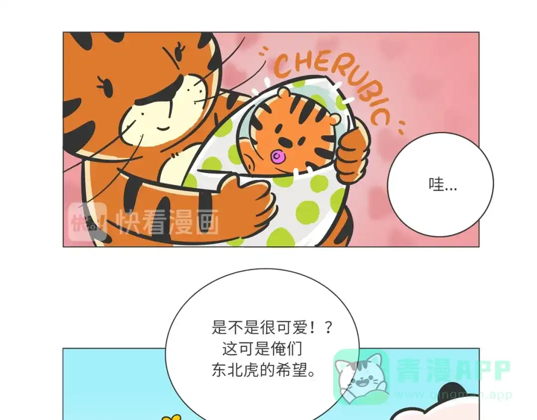 熊猫君&黄逗菌可持续生活志第二季 森林之王“虎威威” 第21页