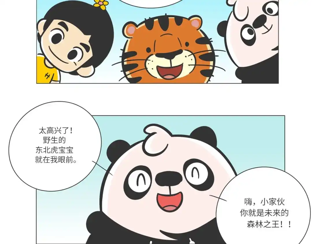 熊猫君&黄逗菌可持续生活志第二季 森林之王“虎威威” 第22页