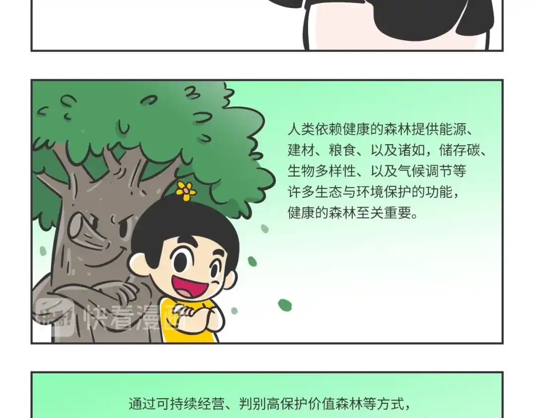 熊猫君&黄逗菌可持续生活志第二季 科普番外——健康的森林 第3页