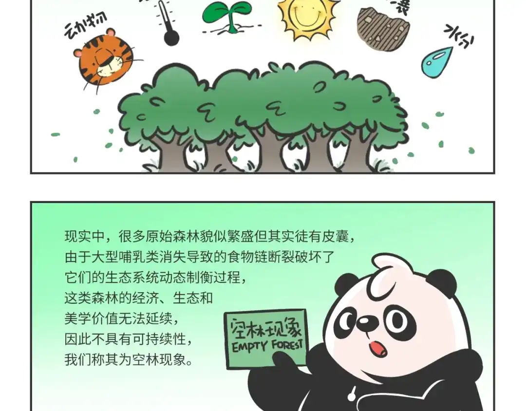 熊猫君&黄逗菌可持续生活志第二季 科普番外——健康的森林 第2页