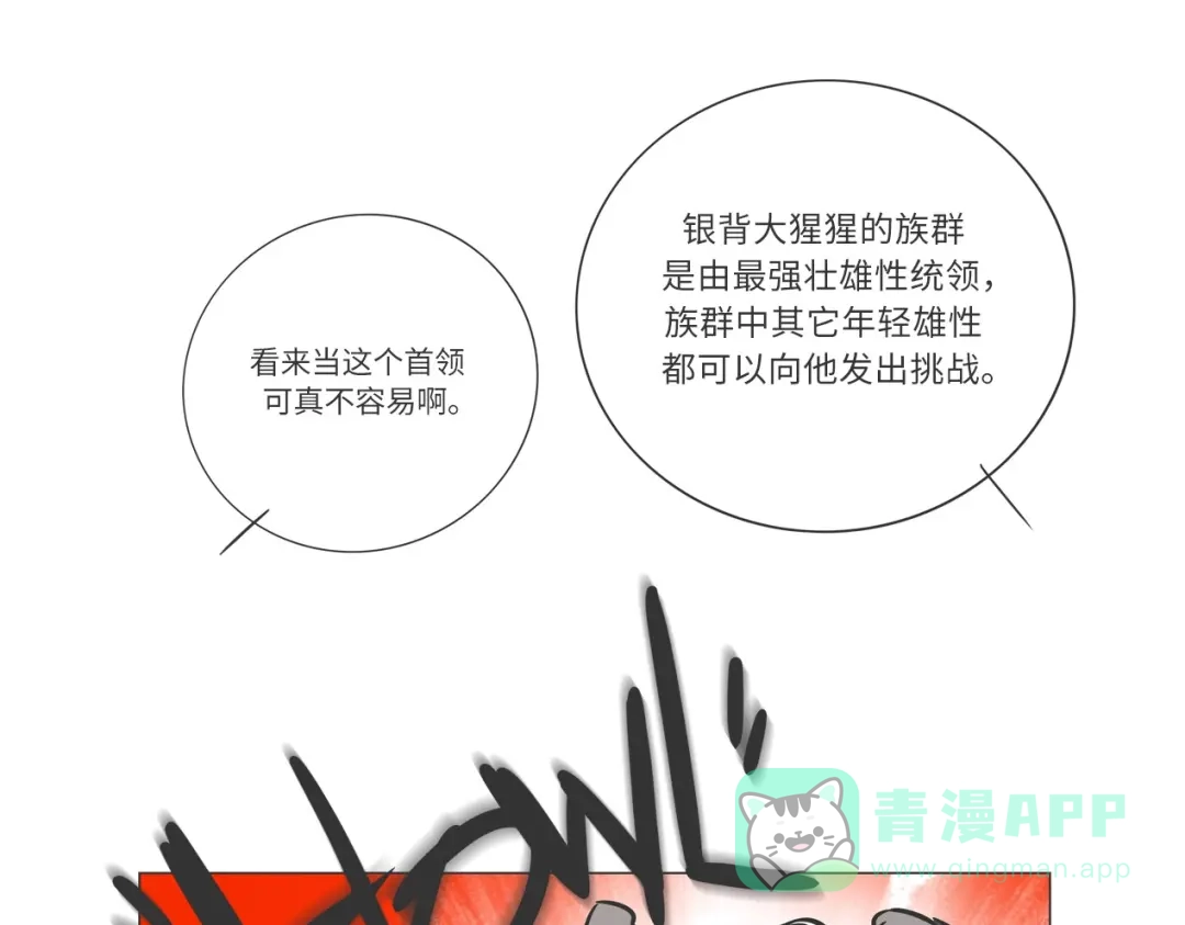 熊猫君&黄逗菌可持续生活志第二季 雨林深处的王者“努卡” 第16页