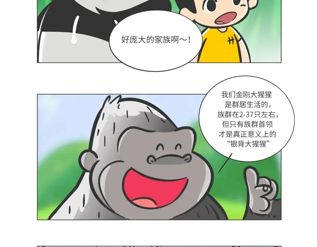 熊猫君&黄逗菌可持续生活志第二季 雨林深处的王者“努卡” 第12页
