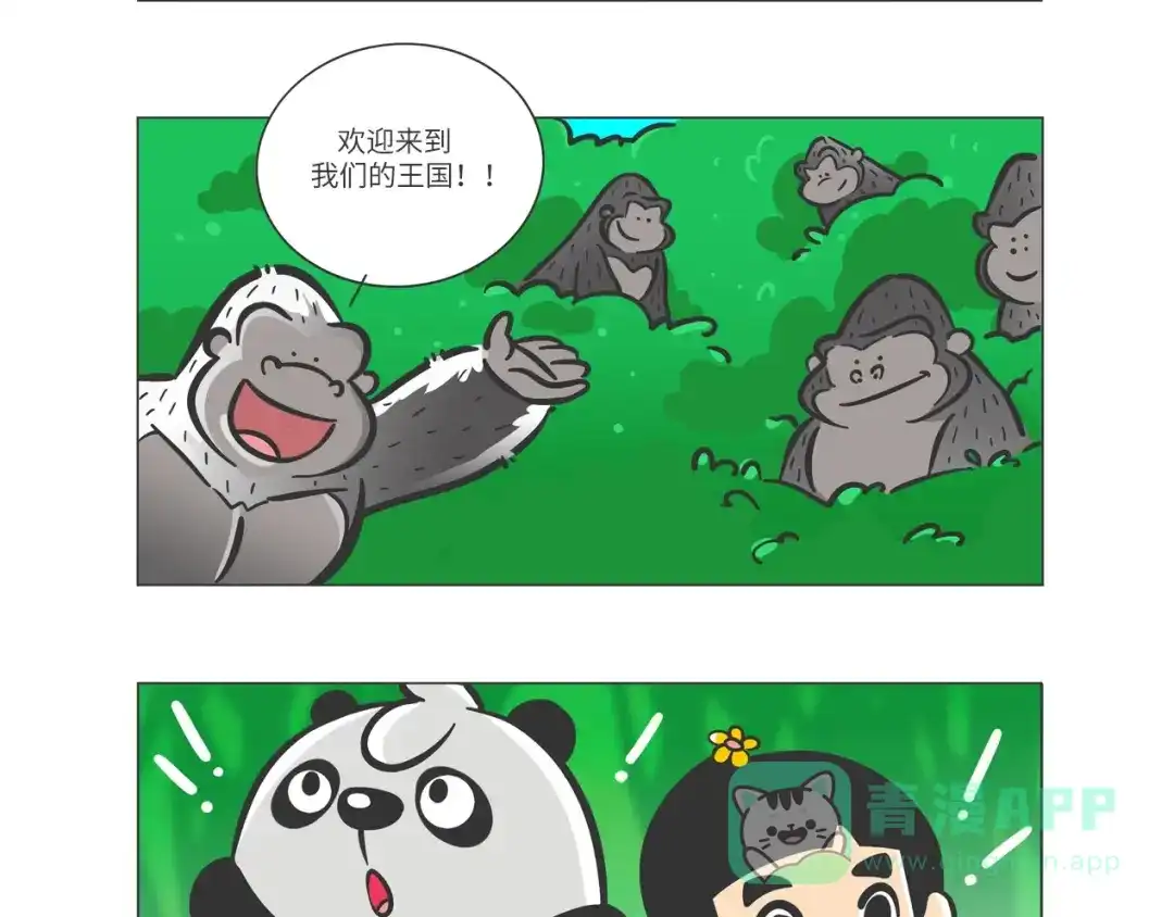 熊猫君&黄逗菌可持续生活志第二季 雨林深处的王者“努卡” 第11页