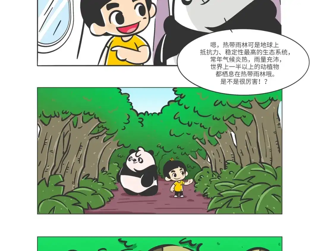 熊猫君&黄逗菌可持续生活志第二季 雨林深处的王者“努卡” 第3页