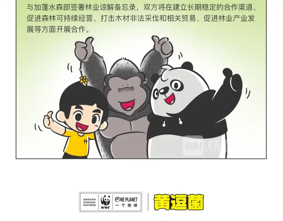 熊猫君&黄逗菌可持续生活志第二季 科普番外——非洲之肺刚果盆地 第4页