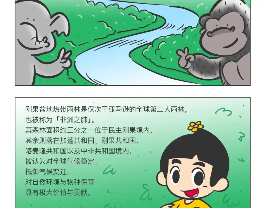 熊猫君&黄逗菌可持续生活志第二季 科普番外——非洲之肺刚果盆地 第2页