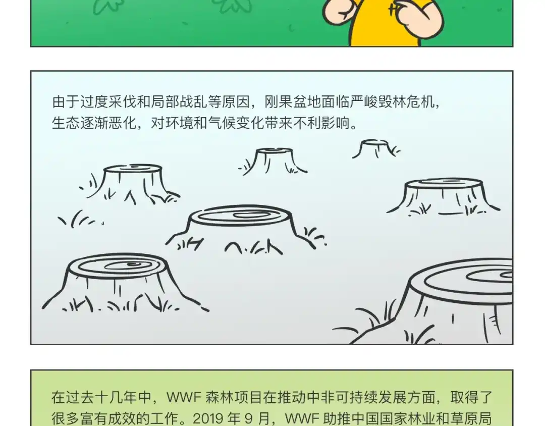 熊猫君&黄逗菌可持续生活志第二季 科普番外——非洲之肺刚果盆地 第3页
