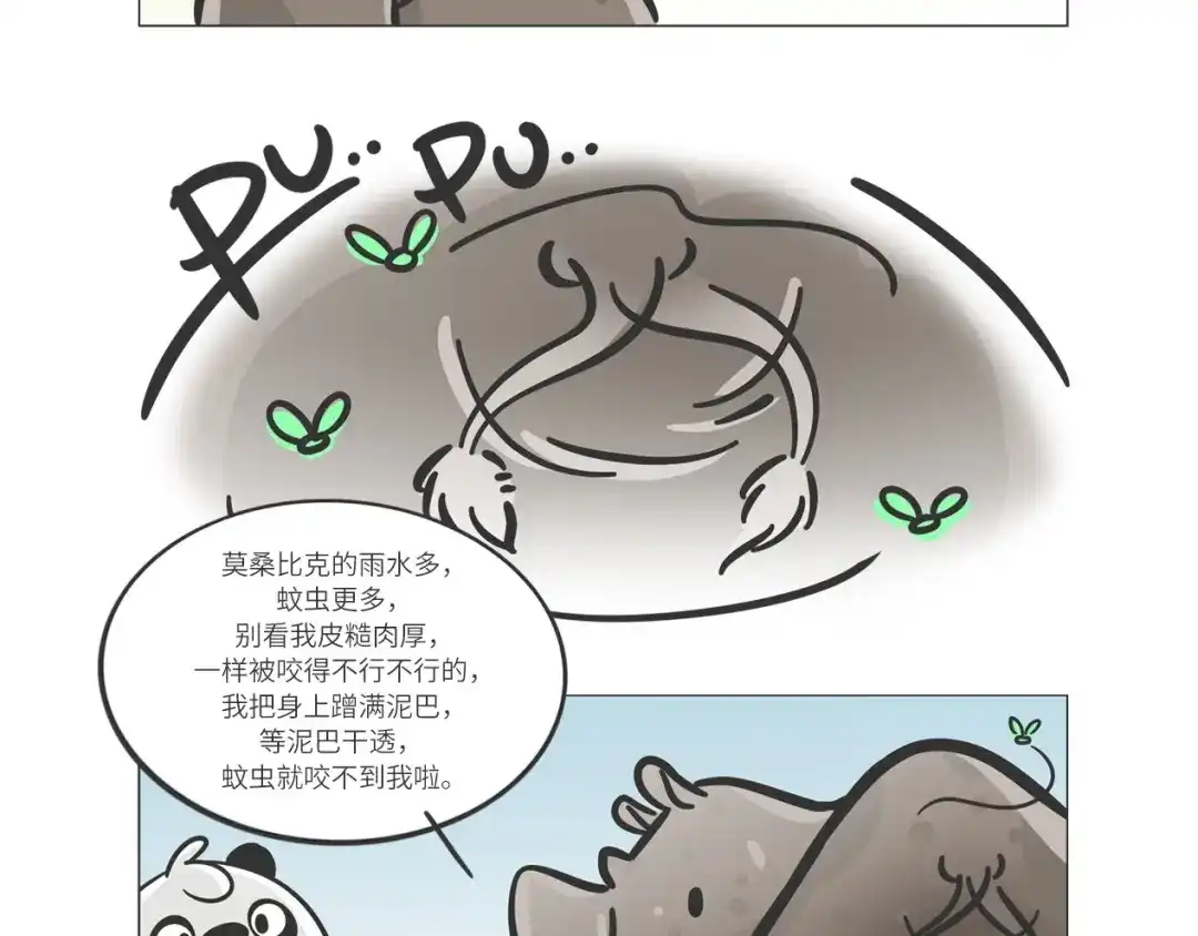 熊猫君&黄逗菌可持续生活志第二季 非洲“推土机”格罗拉 第7页