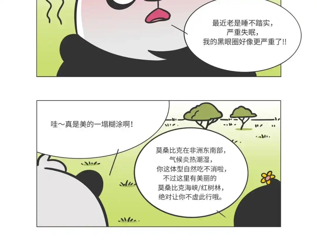 熊猫君&黄逗菌可持续生活志第二季 非洲“推土机”格罗拉 第3页