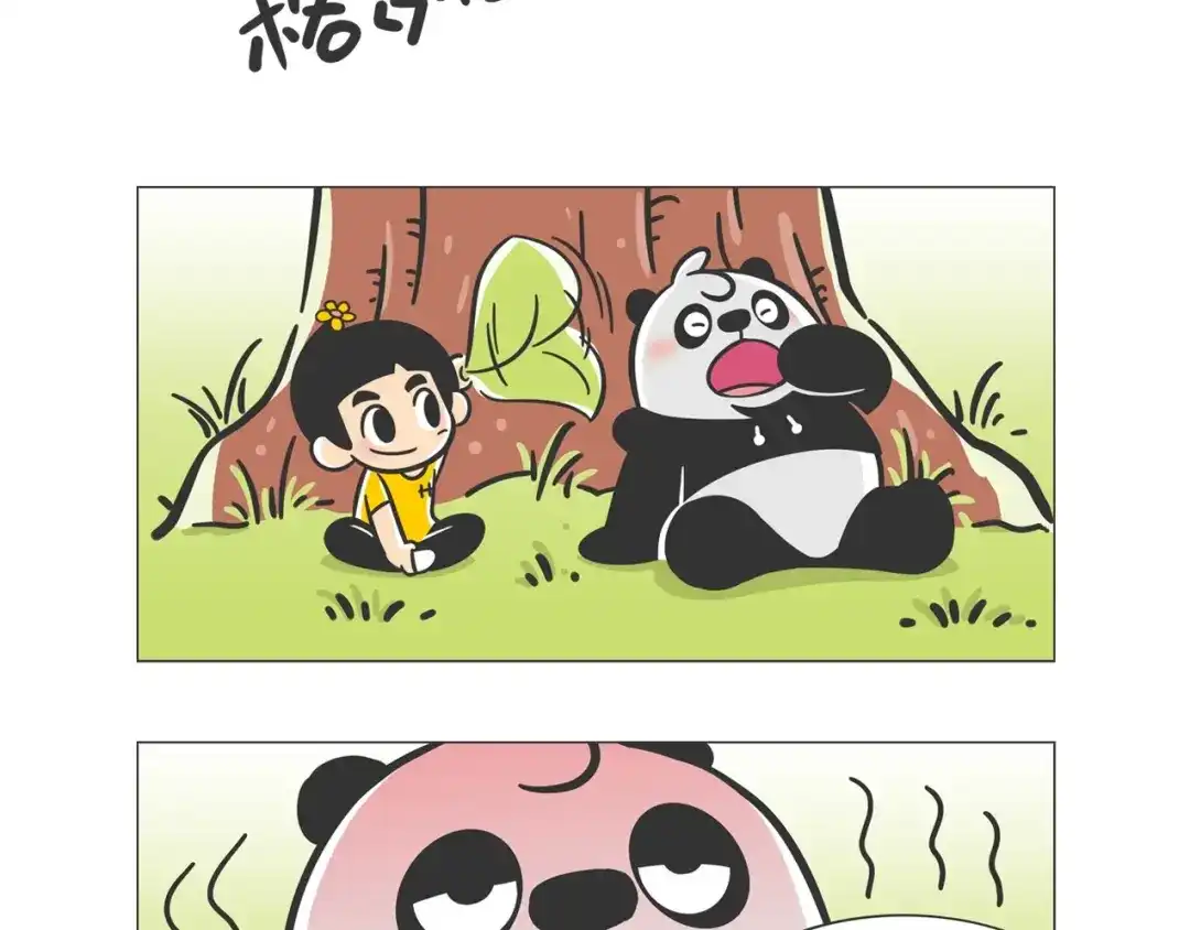 熊猫君&黄逗菌可持续生活志第二季 非洲“推土机”格罗拉 第2页