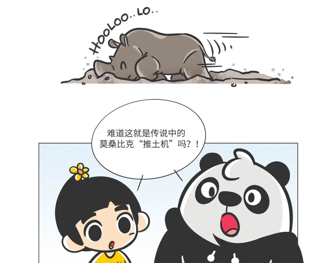 熊猫君&黄逗菌可持续生活志第二季 非洲“推土机”格罗拉 第4页