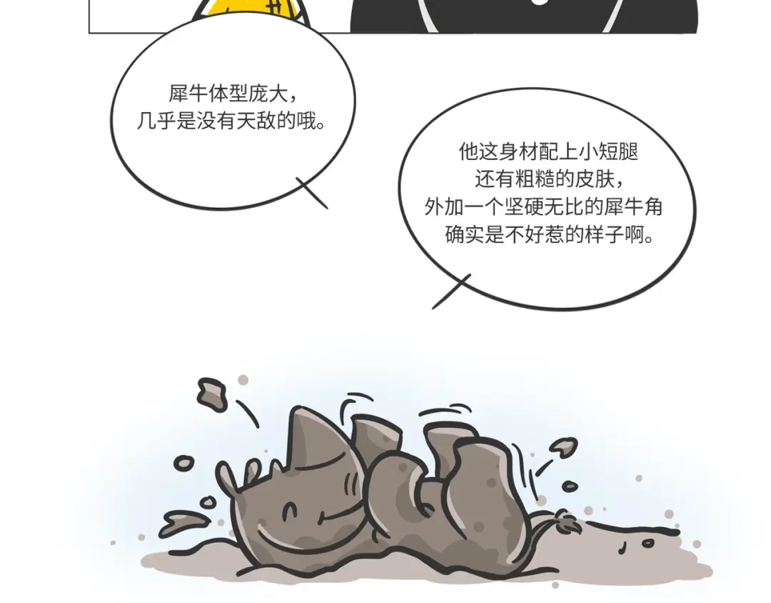 熊猫君&黄逗菌可持续生活志第二季 非洲“推土机”格罗拉 第5页