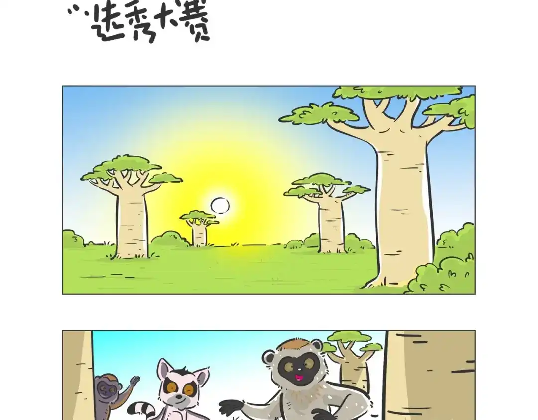 熊猫君&黄逗菌可持续生活志第二季 好精彩的“选秀大赛” 第2页