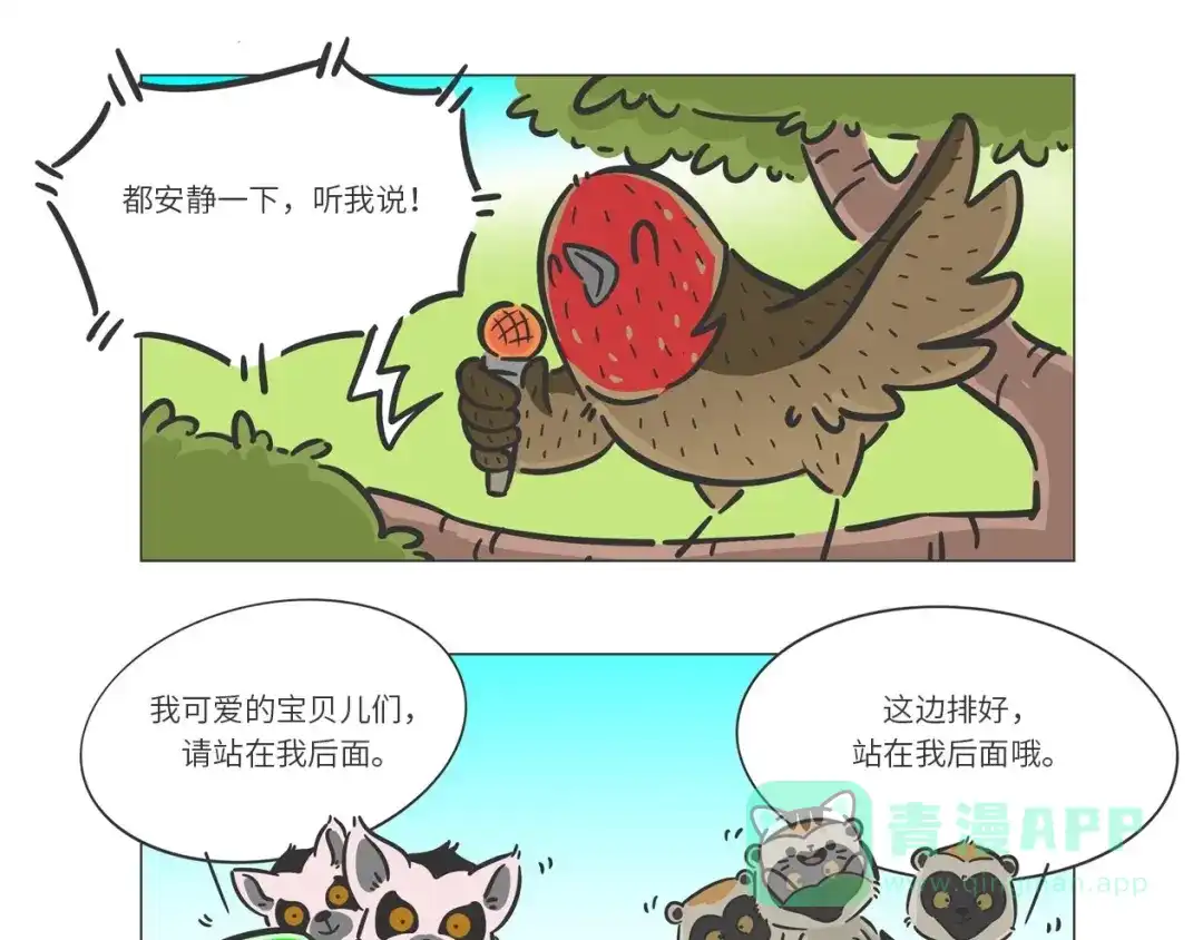 熊猫君&黄逗菌可持续生活志第二季 好精彩的“选秀大赛” 第6页