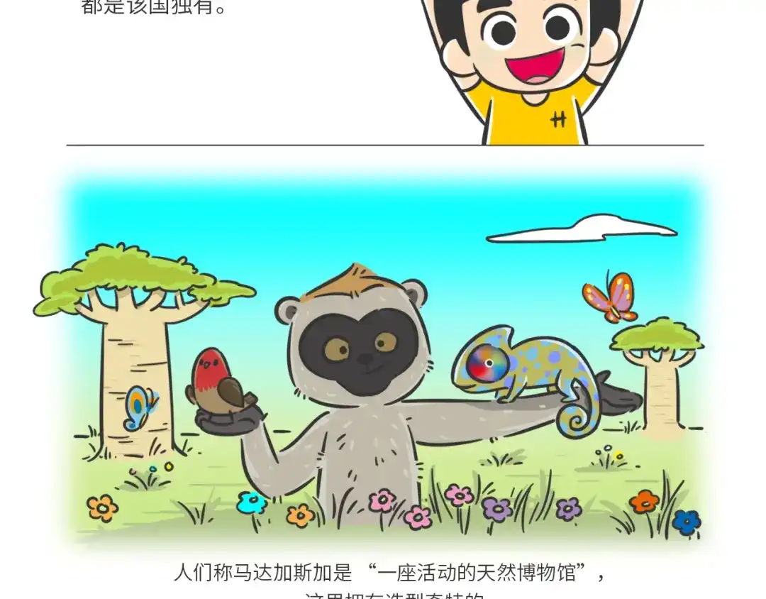 熊猫君&黄逗菌可持续生活志第二季 科普番外——马达加斯加 第2页