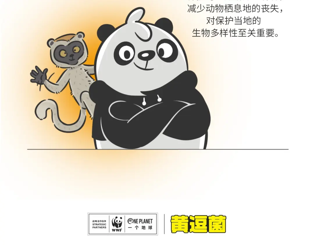 熊猫君&黄逗菌可持续生活志第二季 科普番外——马达加斯加 第4页