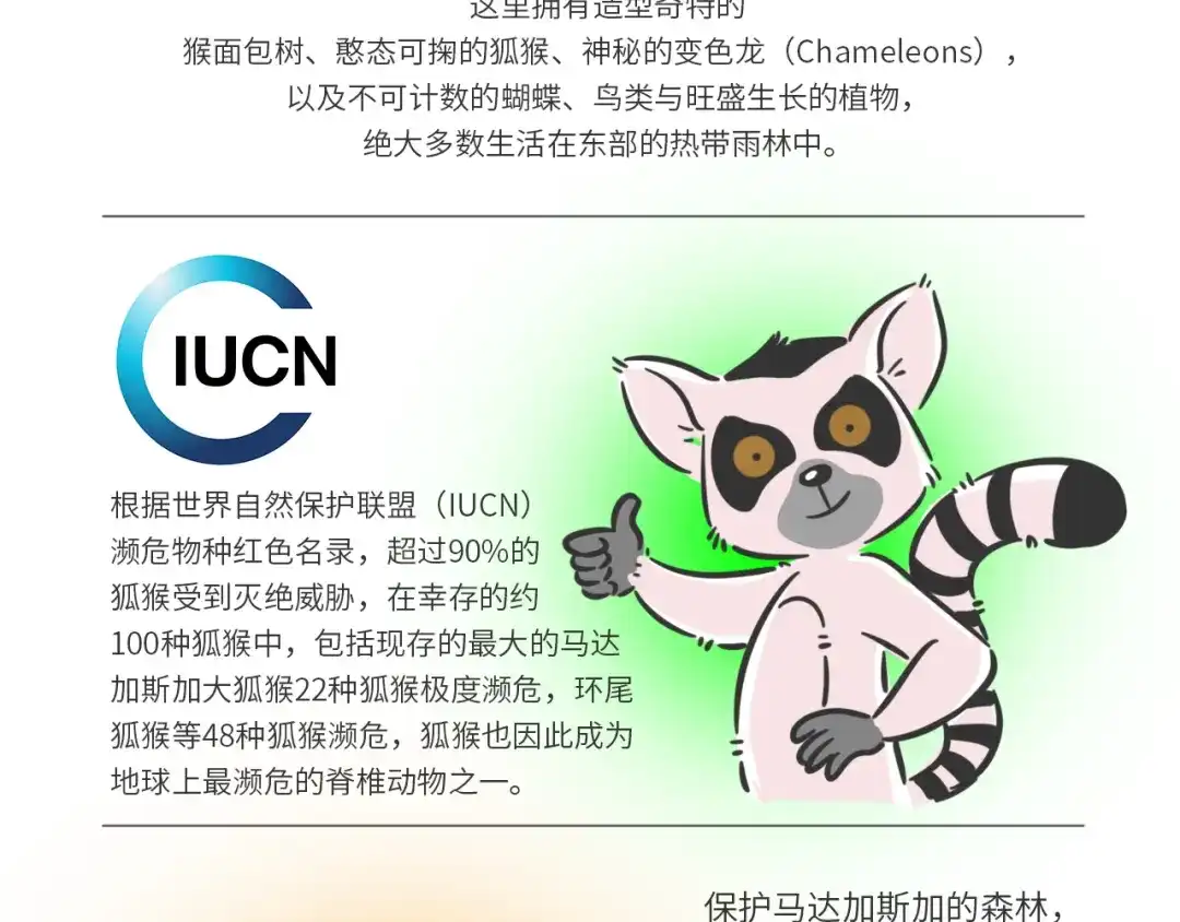 熊猫君&黄逗菌可持续生活志第二季 科普番外——马达加斯加 第3页