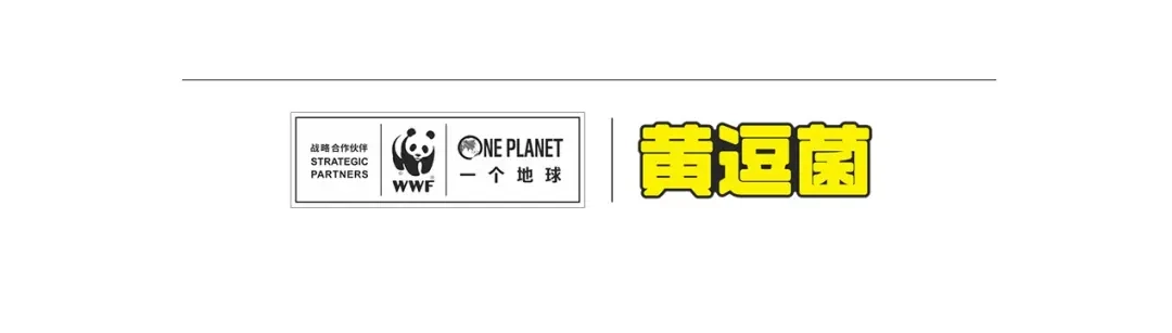 熊猫君&黄逗菌可持续生活志第二季 满满爱的几维鸟 第27页