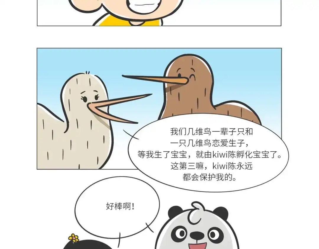 熊猫君&黄逗菌可持续生活志第二季 满满爱的几维鸟 第8页
