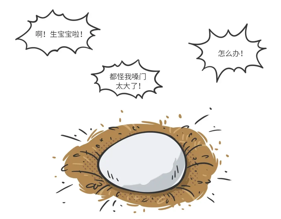 熊猫君&黄逗菌可持续生活志第二季 满满爱的几维鸟 第23页