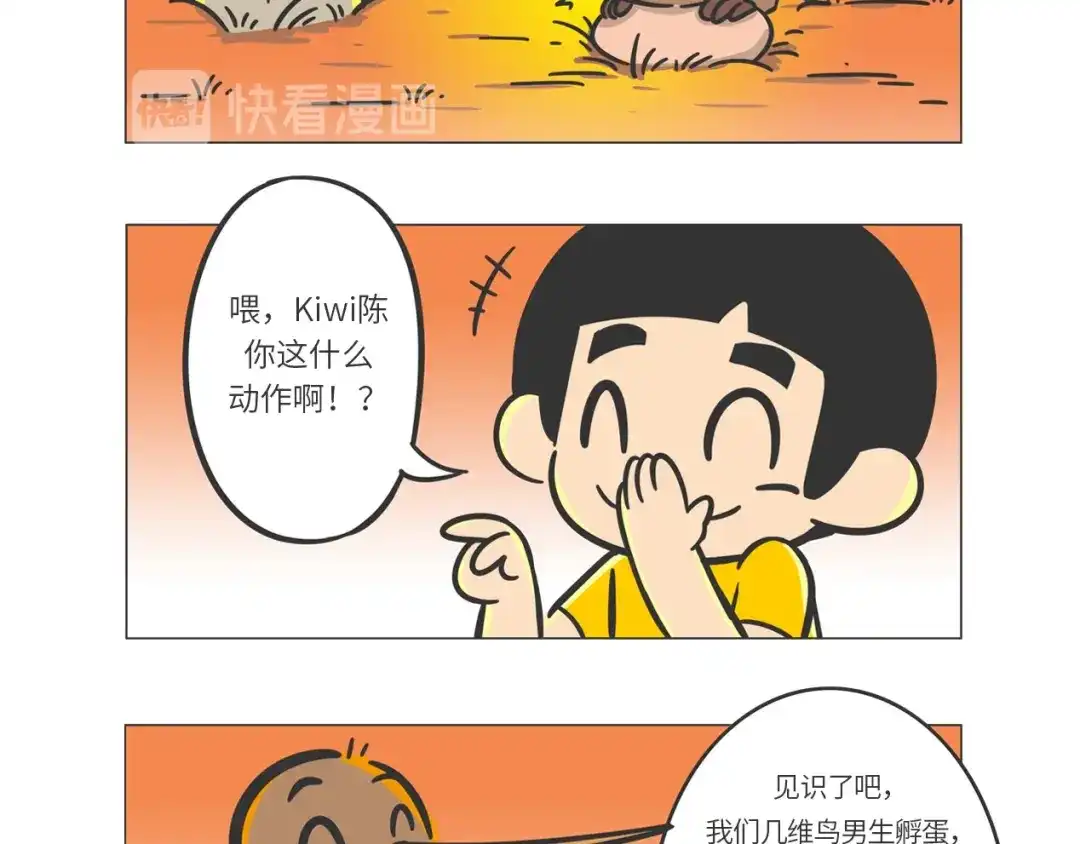 熊猫君&黄逗菌可持续生活志第二季 满满爱的几维鸟 第25页