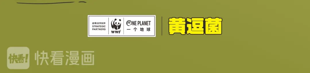 熊猫君&黄逗菌可持续生活志第二季 科普番外——新西兰的几维鸟 第8页