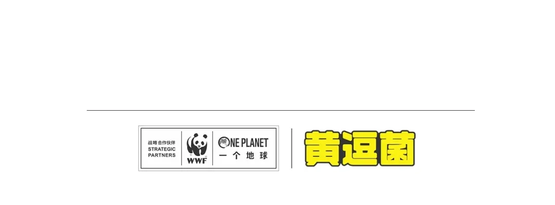 熊猫君&黄逗菌可持续生活志第二季 “强者对决”云豹沙普拉 第20页
