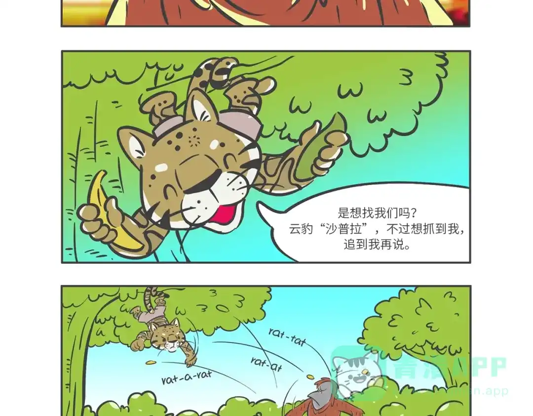 熊猫君&黄逗菌可持续生活志第二季 “强者对决”云豹沙普拉 第11页