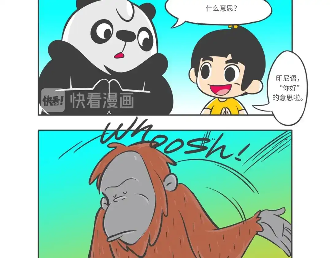 熊猫君&黄逗菌可持续生活志第二季 “强者对决”云豹沙普拉 第5页