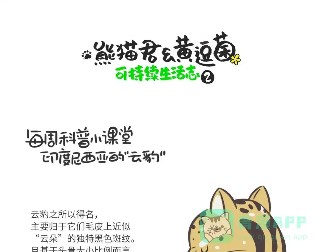 熊猫君&黄逗菌可持续生活志第二季 科普番外——印度尼西亚“云豹” 第1页