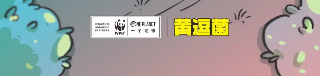 熊猫君&黄逗菌可持续生活志第二季 “武林高手”天堂鸟 第25页