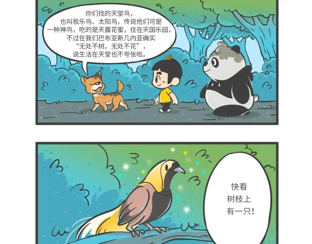 熊猫君&黄逗菌可持续生活志第二季 “武林高手”天堂鸟 第10页