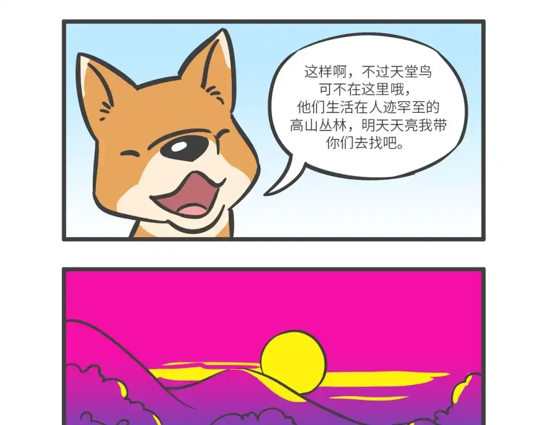 熊猫君&黄逗菌可持续生活志第二季 “武林高手”天堂鸟 第7页