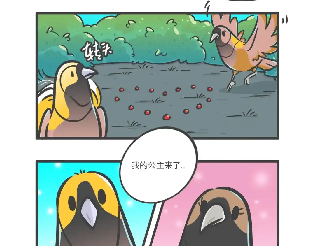 熊猫君&黄逗菌可持续生活志第二季 “武林高手”天堂鸟 第17页