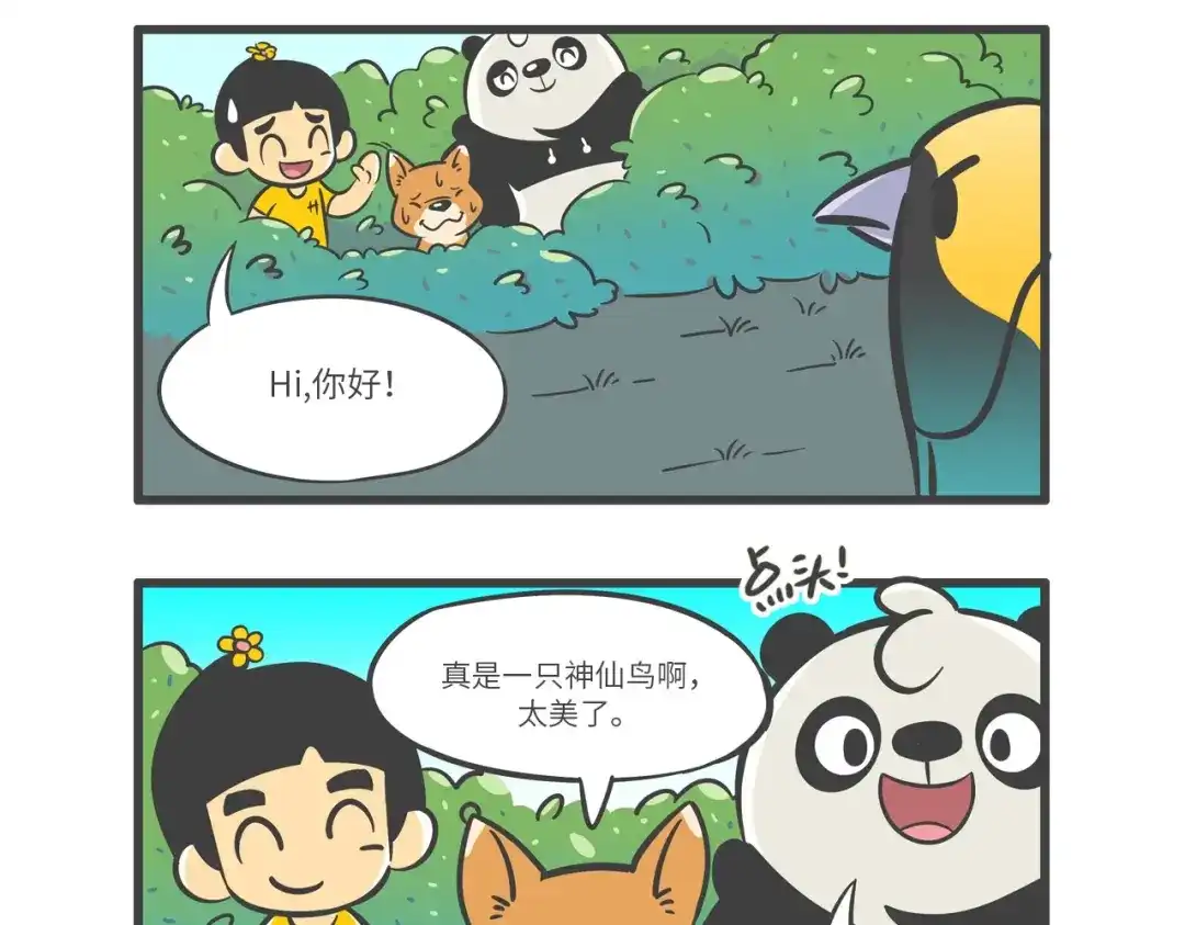 熊猫君&黄逗菌可持续生活志第二季 “武林高手”天堂鸟 第15页