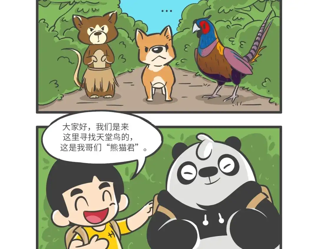 熊猫君&黄逗菌可持续生活志第二季 “武林高手”天堂鸟 第5页