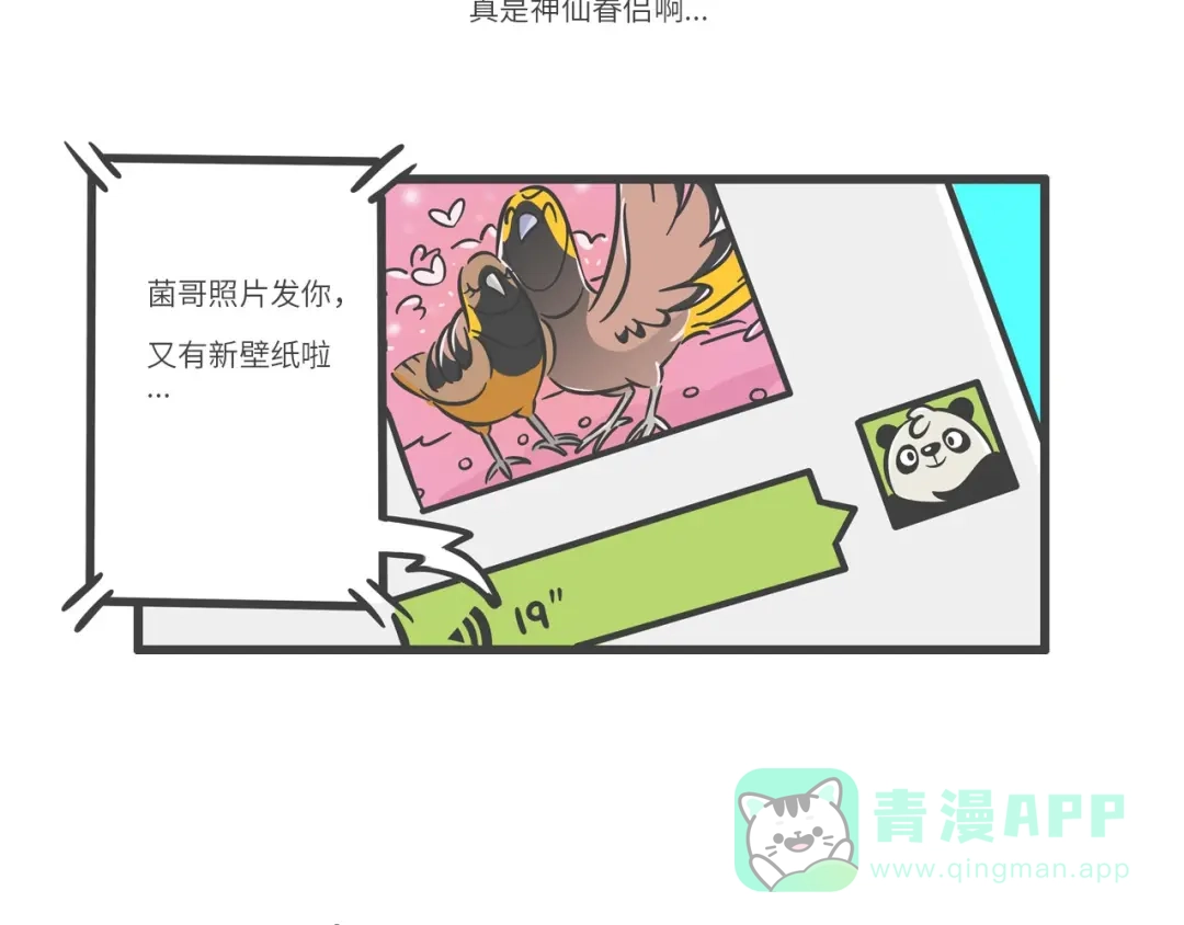 熊猫君&黄逗菌可持续生活志第二季 “武林高手”天堂鸟 第21页