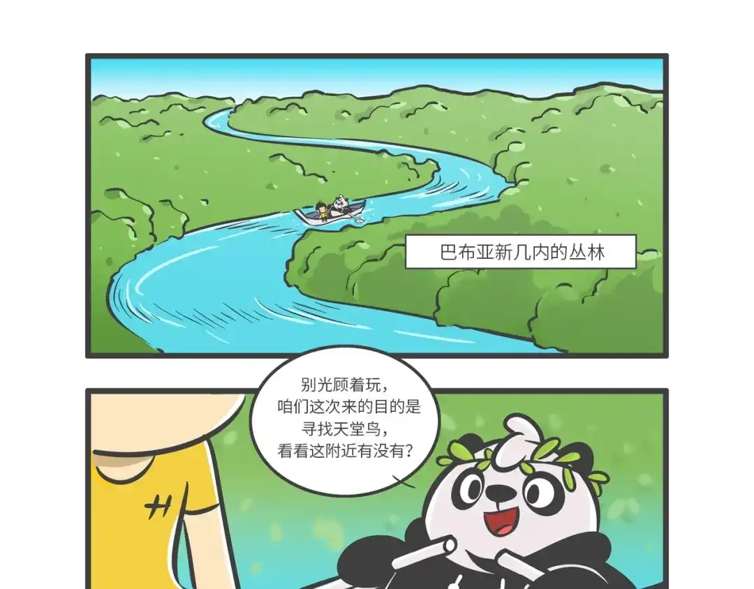 熊猫君&黄逗菌可持续生活志第二季 “武林高手”天堂鸟 第2页