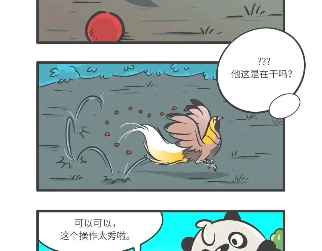 熊猫君&黄逗菌可持续生活志第二季 “武林高手”天堂鸟 第13页