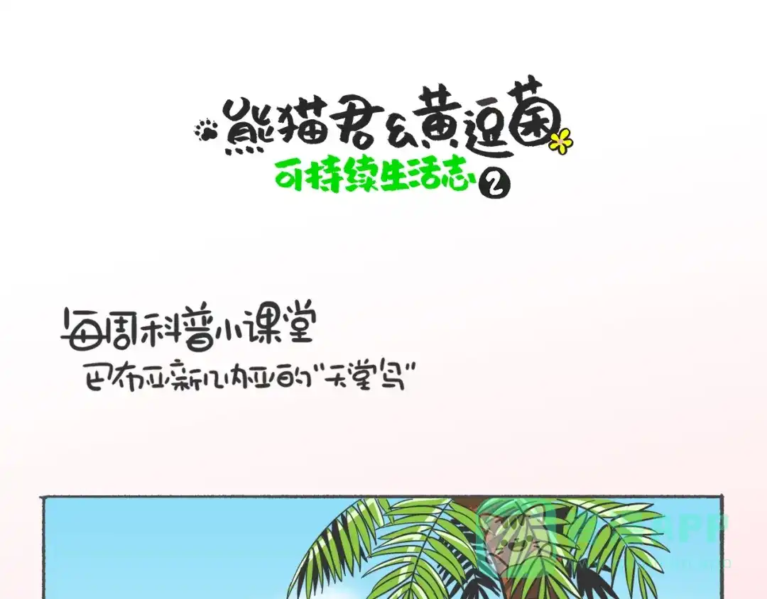 熊猫君&黄逗菌可持续生活志第二季 科普番外——“天堂鸟”在哪里 第1页