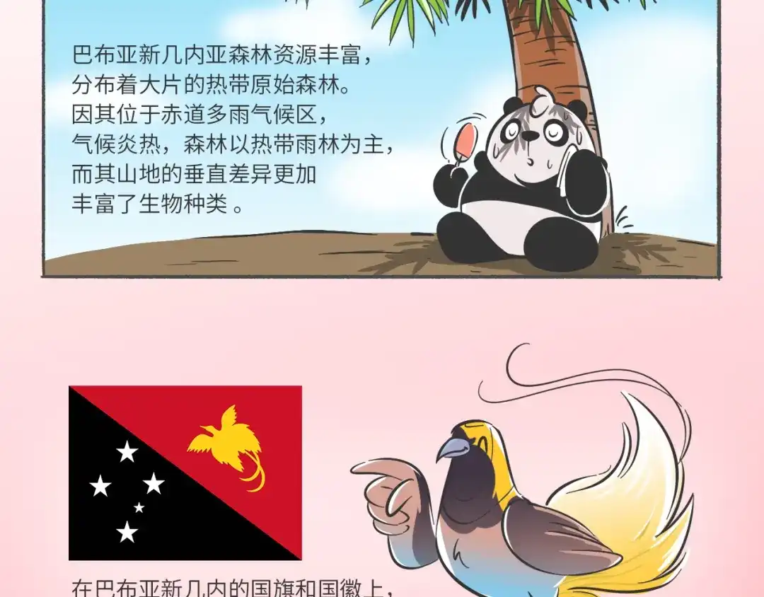 熊猫君&黄逗菌可持续生活志第二季 科普番外——“天堂鸟”在哪里 第2页