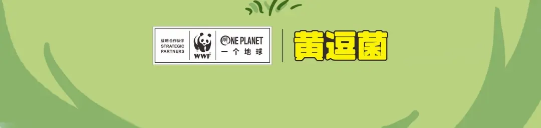 熊猫君&黄逗菌可持续生活志第二季 明日之星“达米尔” 第27页