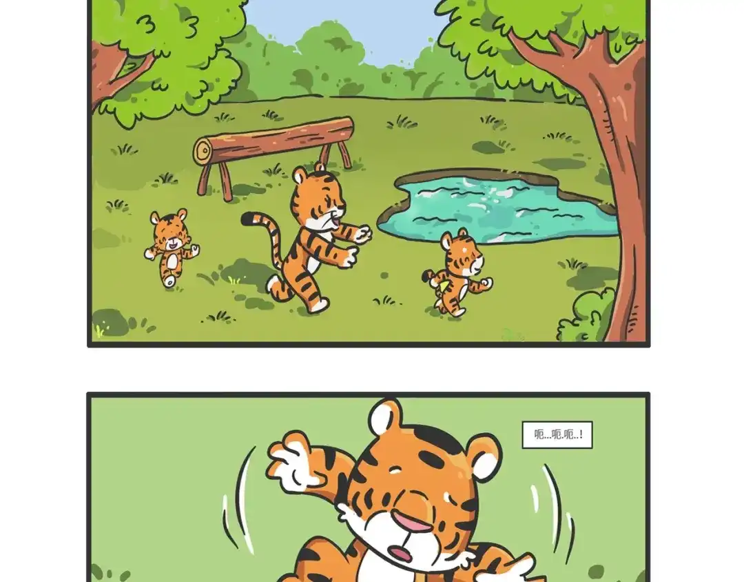 熊猫君&黄逗菌可持续生活志第二季 明日之星“达米尔” 第12页